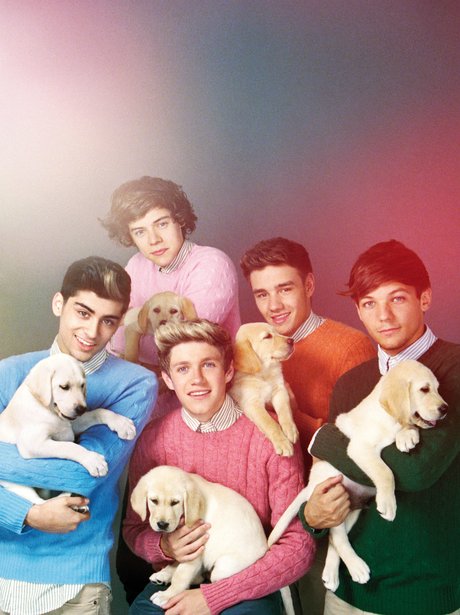 One Direction in Wonderland Magazine
