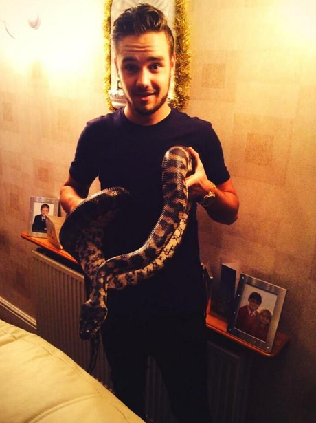 2013 Liam Payne BT