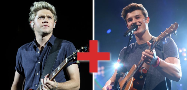 Niall Horan and Shawn Mendes